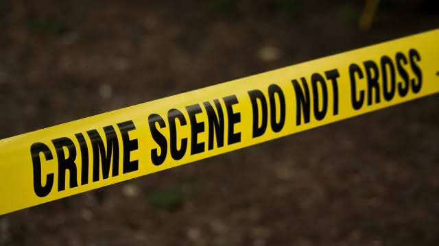 Lahore Police Rescue Two Abducted Foreign Women; Four Suspects Remanded Facing $1.5 Million Ransom and Assault Charges