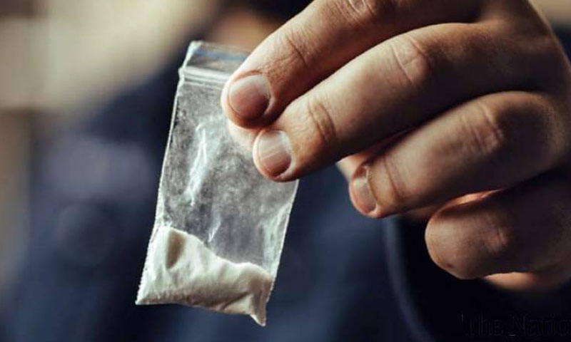 Sindh to Launch Dedicated Narcotics Force and Dron