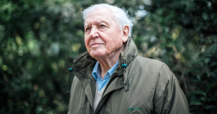 Legendary Naturalist David Attenborough Turns 100, Celebrated Worldwide