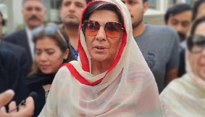 Aleema Khan Says PTI Did Not Ban Basant Celebrations, Hails Silent Protest