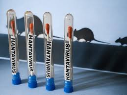 Global Hantavirus Alert: American and French Evacu
