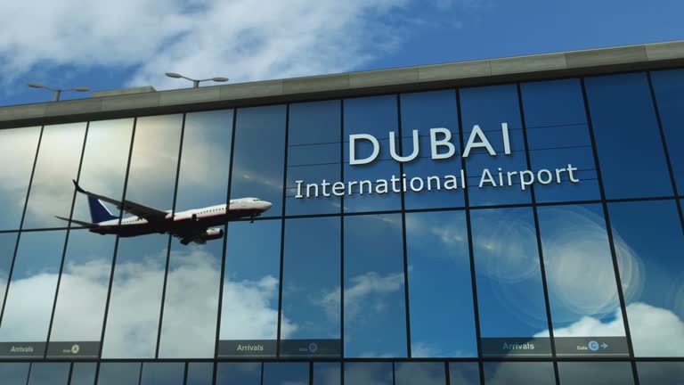 Shock at Dubai Airport: 200+ Live Reptiles, Scorpions, and Amphibians Found in Abandoned Suitcase