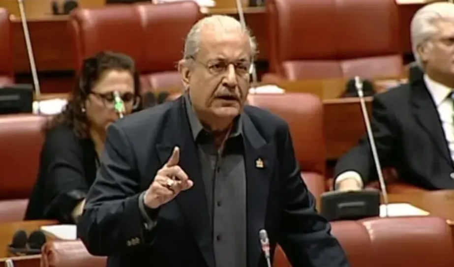 Raza Rabbani Urges Parliament Approval for Rooseve