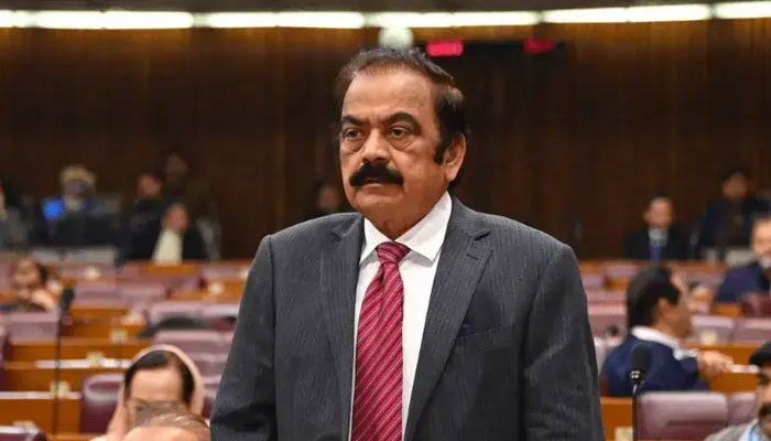 Rana Sanaullah Defends PTI Founder, Punjab Plane Purchase Amid Terror Threats