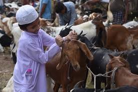 Suthra Punjab Operation: CM Maryam Nawaz Orders Vigilance Squad Deployment and Stiff Penalties for Eid Littering